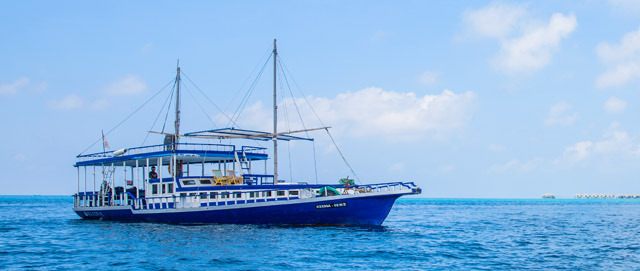 Sea Coral — vessel photograph